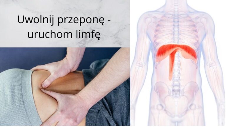 Przepona niezwykły mięsień