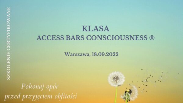 Szkolenie Access Bars Consciousness