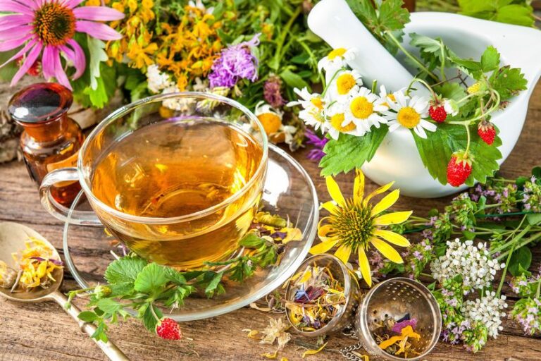 Zielarz - Fitoterapeuta kolejna konsultacja